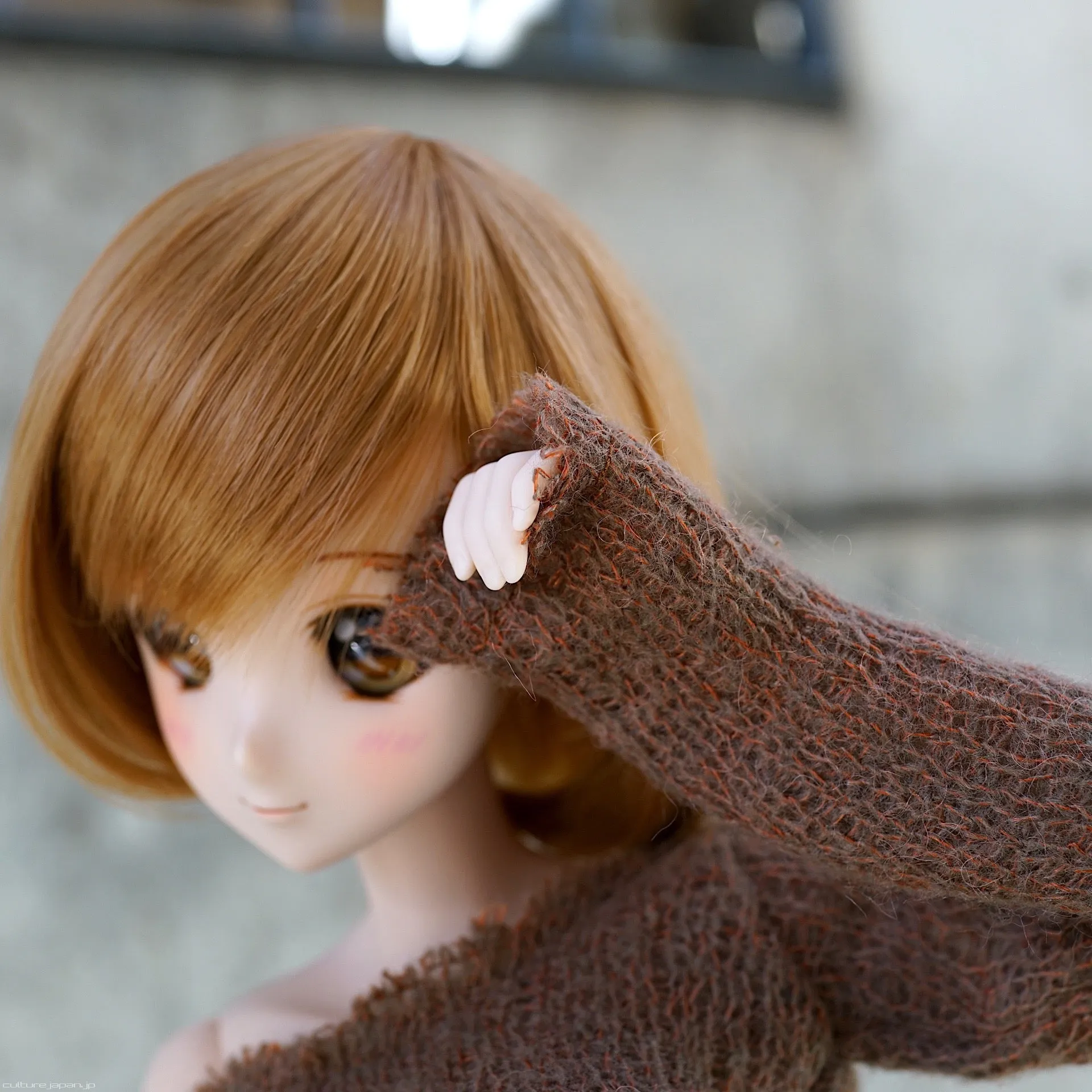 Frayed Knit Sweater (Rusty Brown)