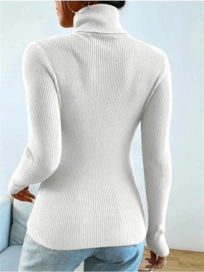 Turtleneck Ribbed Knit Sweater