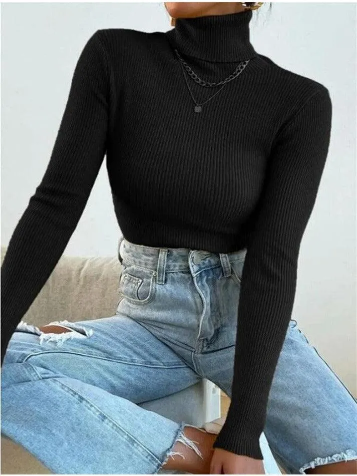 Turtleneck Ribbed Knit Sweater