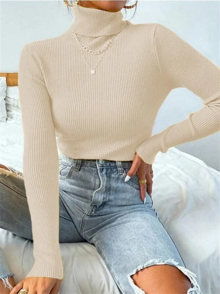 Turtleneck Ribbed Knit Sweater