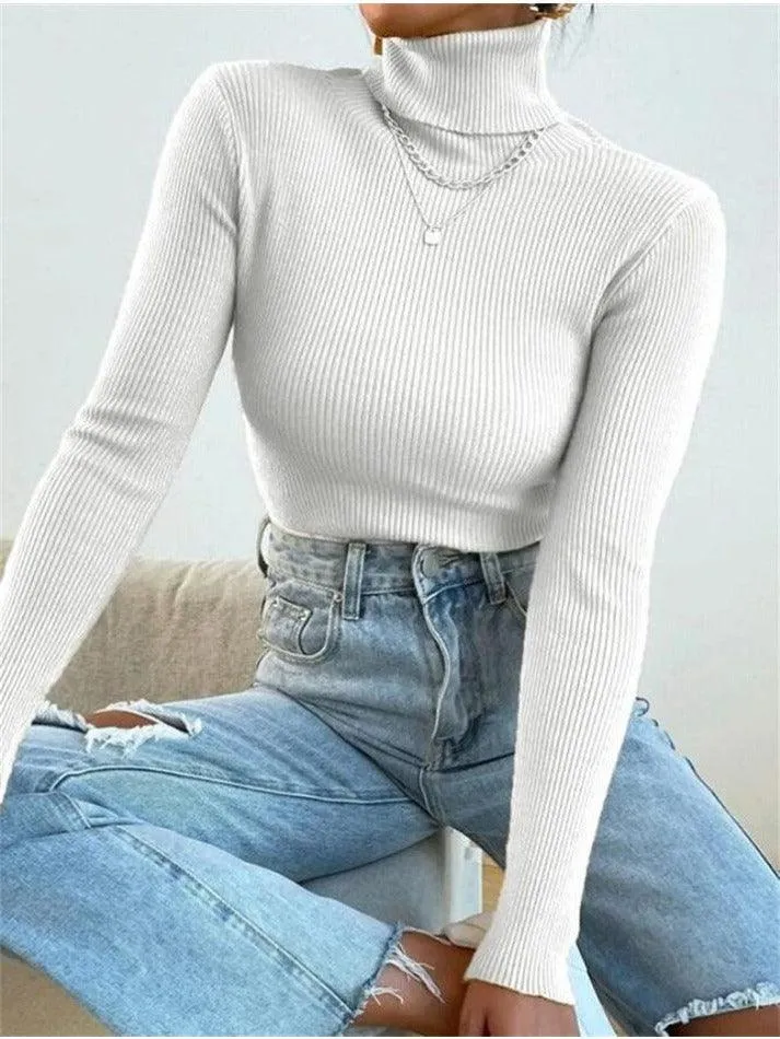 Turtleneck Ribbed Knit Sweater