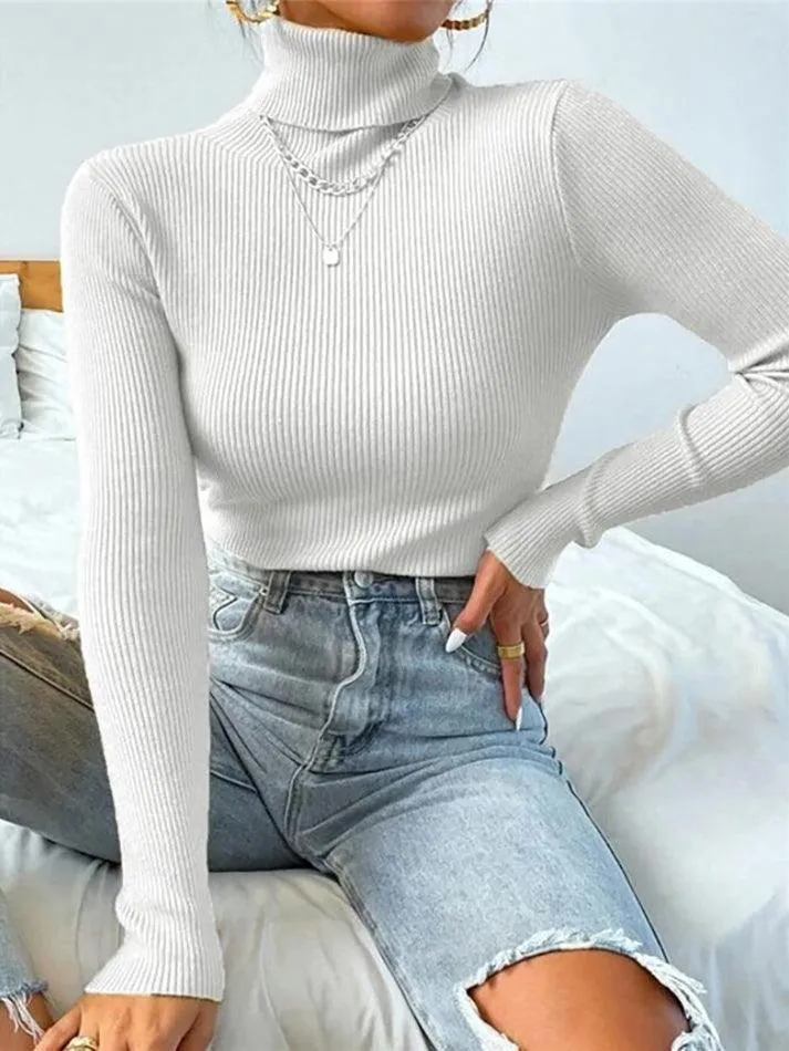 Turtleneck Ribbed Knit Sweater