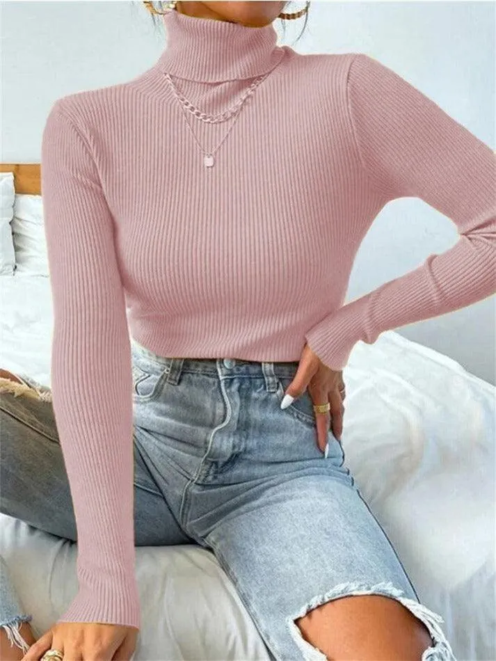 Turtleneck Ribbed Knit Sweater